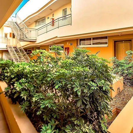 Las Dalias Apartment