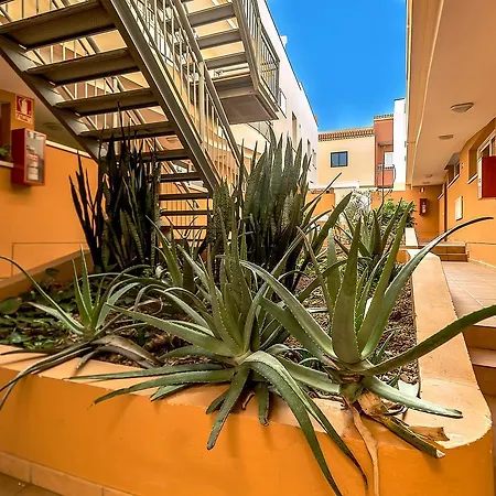 Las Dalias Apartment San Isidro (Tenerife)